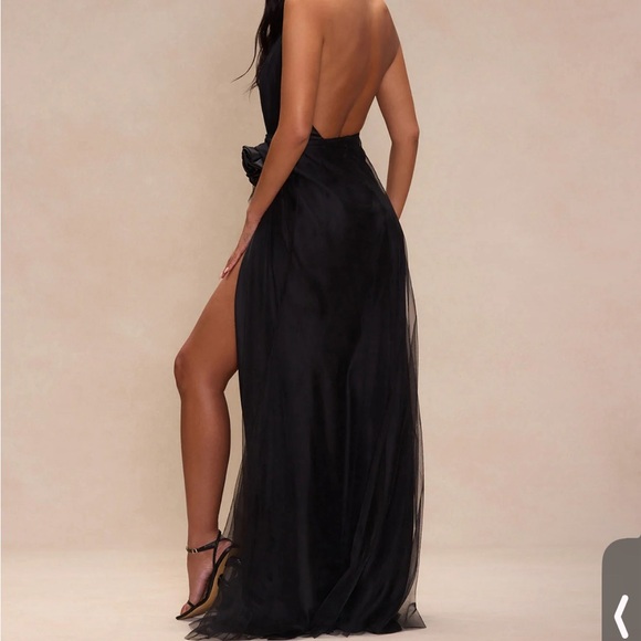 Satin and Mesh Gown worn once - Picture 4 of 4